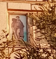 �����������